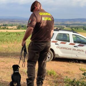 CURSO GUARDA CAZA (Especialidad de Guarda Rural)