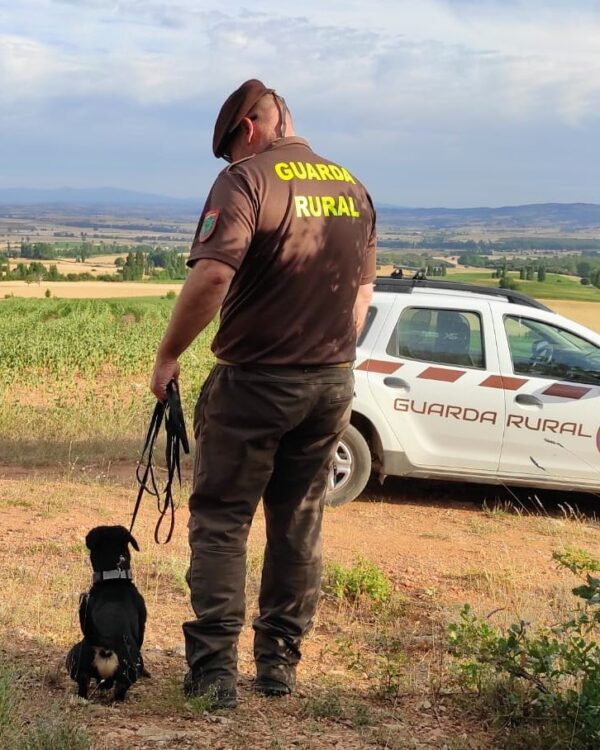 CURSO GUARDA CAZA (Especialidad de Guarda Rural)